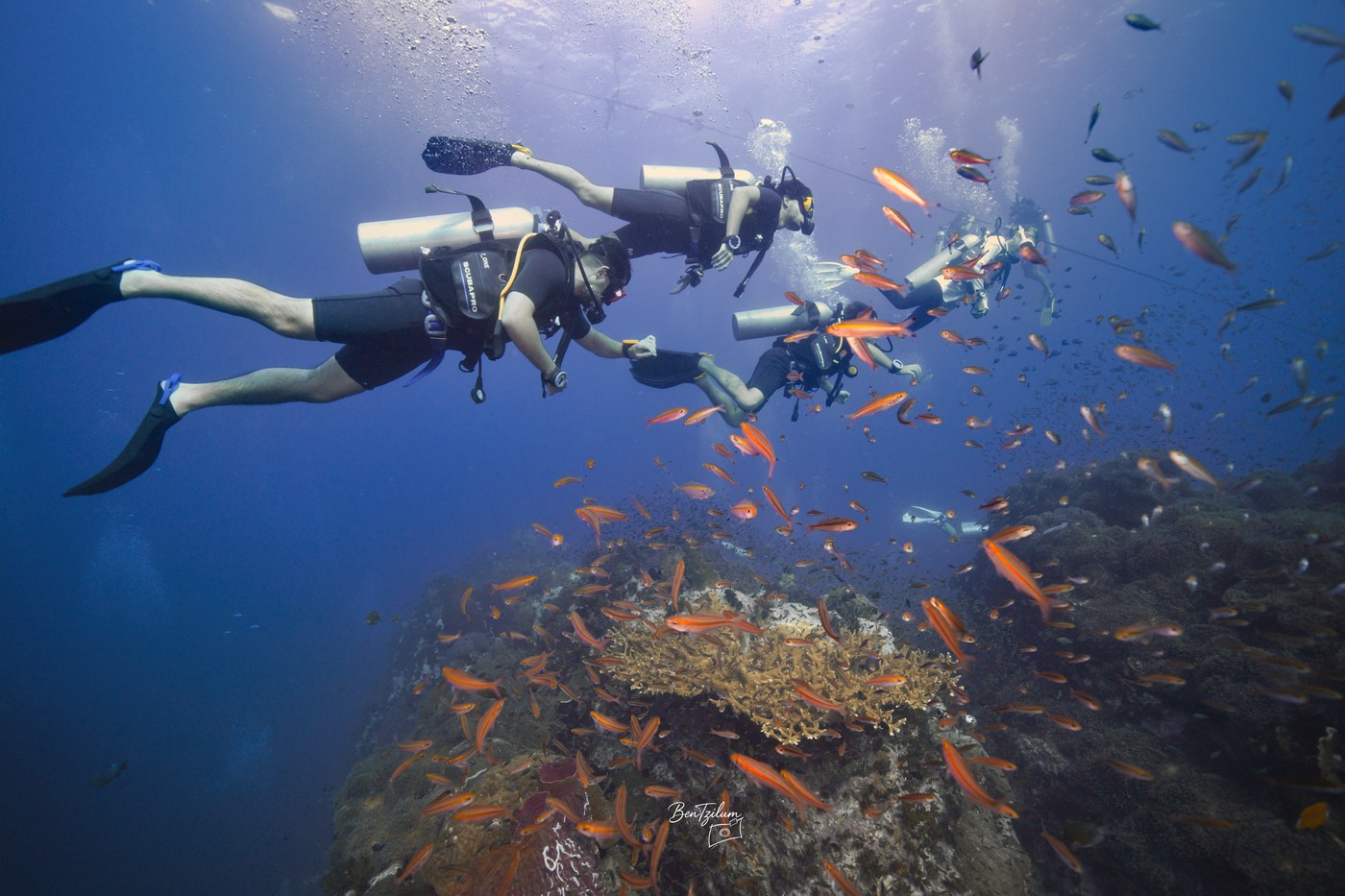 כוכב ראשון בקוטאו – המדריך המלא לקורס Open Water בתאילנד